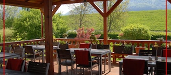 Hotel for business & travelers, hiking & cycling. Pet-friendly! Couple friendly!
