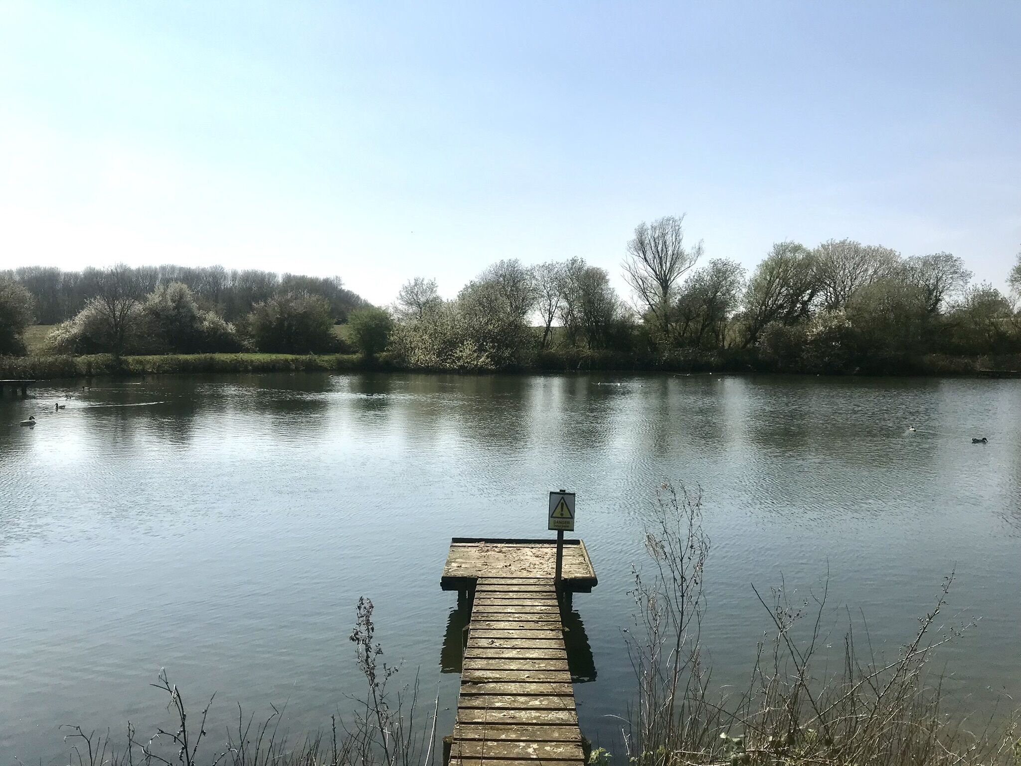 A wooden pier extending into a calm lake surrounded by trees.