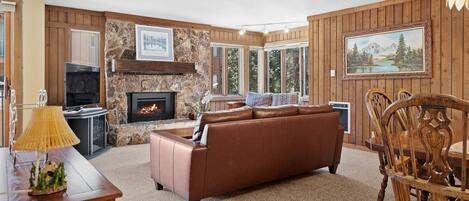 Televisor intel·ligent, llar de foc, reproductor de DVD i llibres