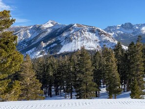Exterior - Mammoth Getaway, Short walk to the Village and steps to Canyon Lodge shuttle. (Mammoth Lakes)