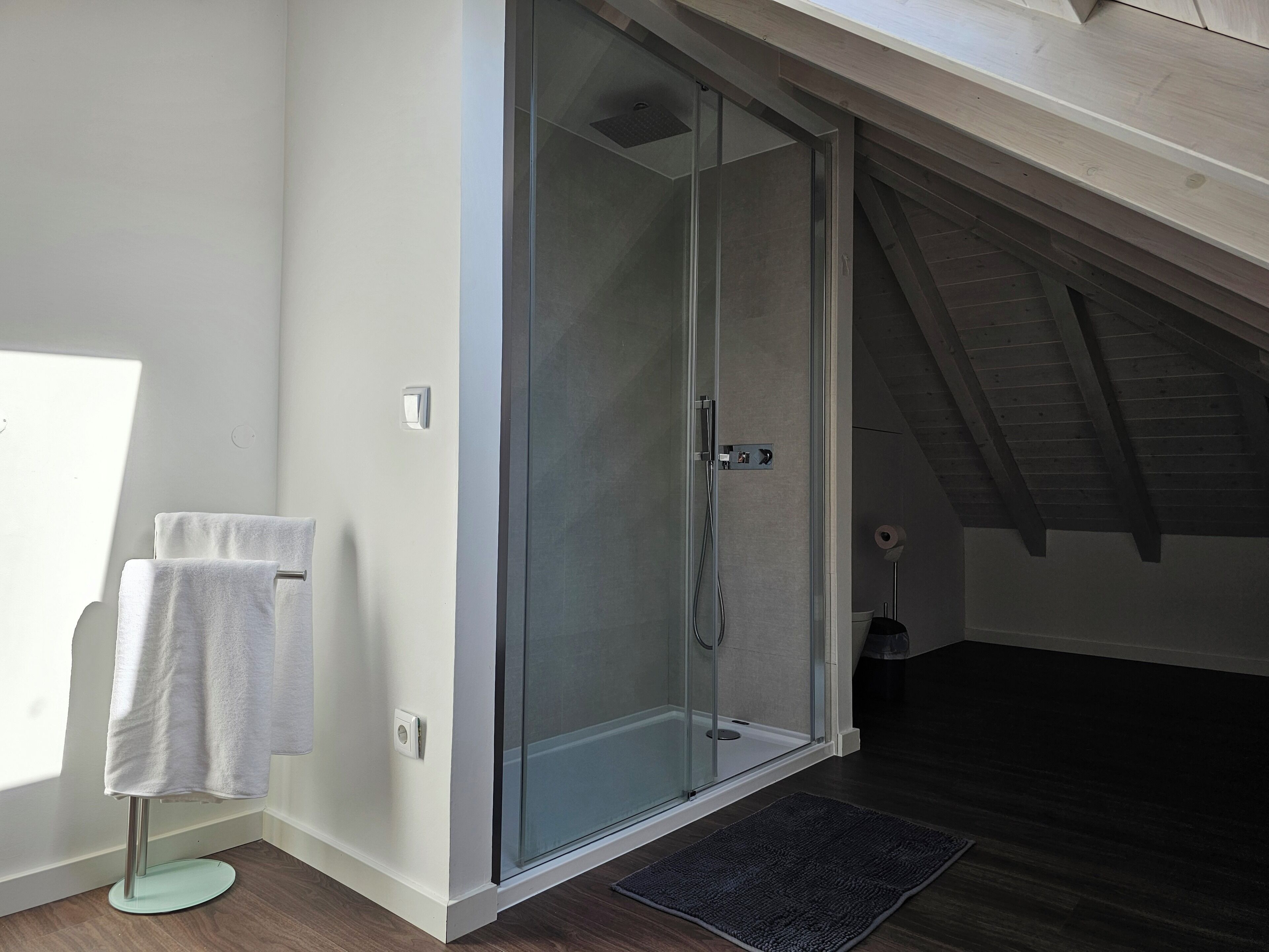 A modern bathroom with a glass shower enclosure, a towel rack, and a wooden floor.