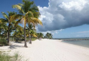A beach with palm trees, a sandy shore, and a cloudy sky.