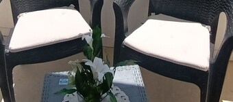 Coquet au CĆur des Jardins de Carthage