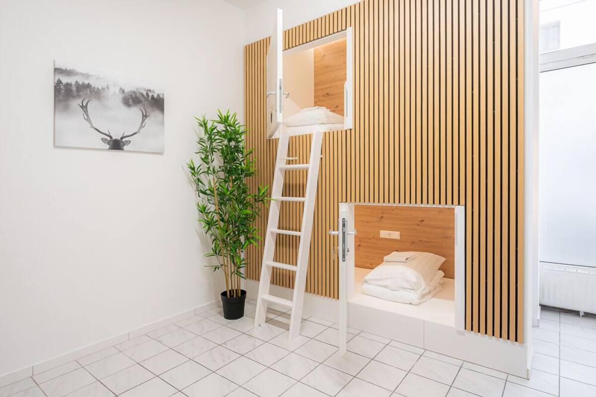 A bunk bed room with a ladder, a potted plant, and a framed picture on the wall.