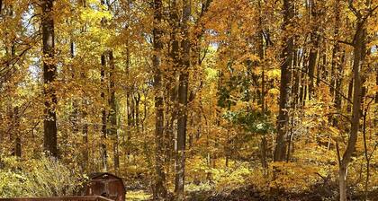 #CozyCleanCabin#HotTub#WoodStove#PetsOK#near BMLodge&Skyline D&Wineries