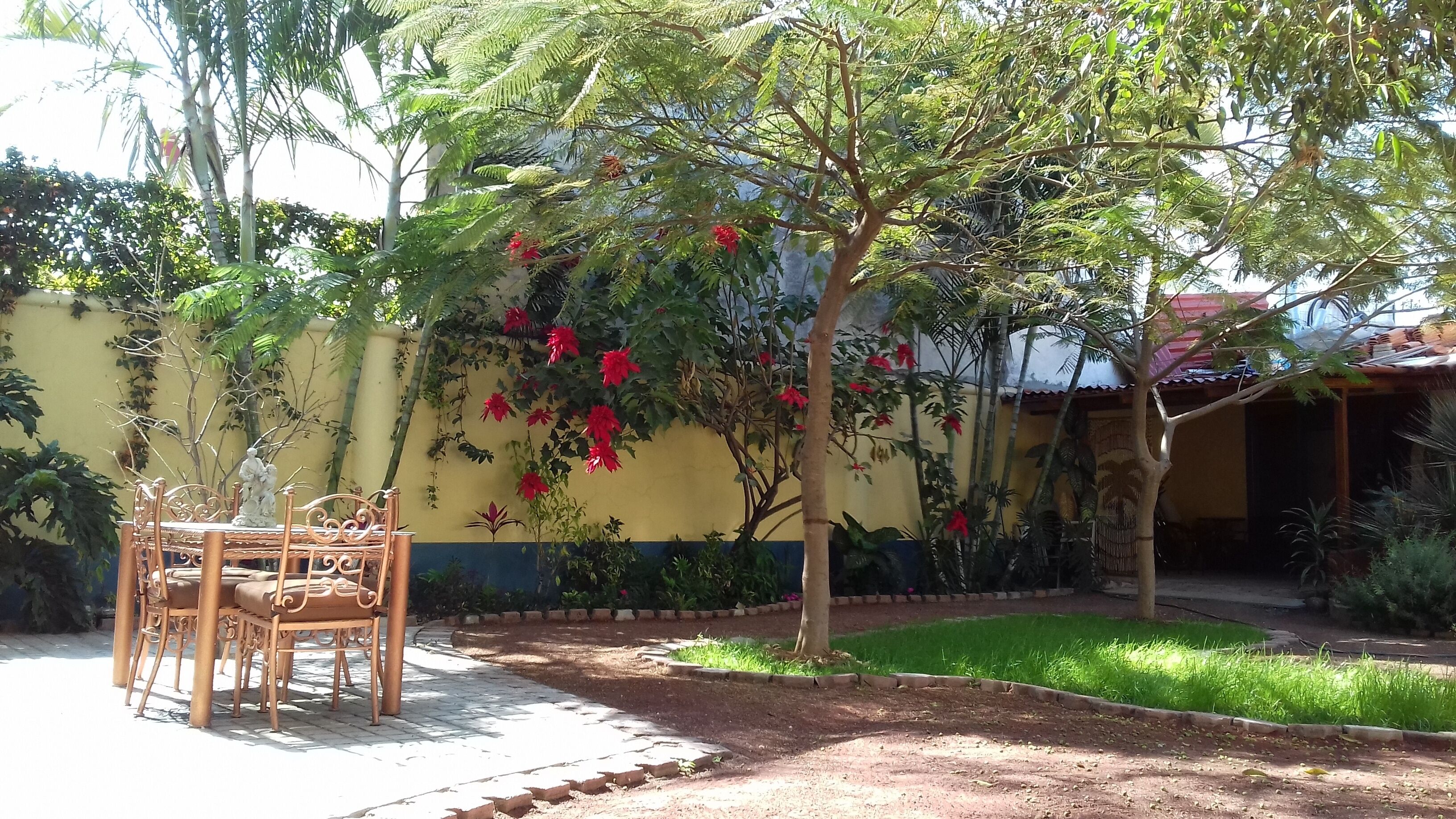 A patio with a table and chairs, surrounded by greenery and a yellow wall.