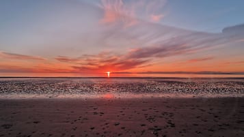 Playa en los alrededores