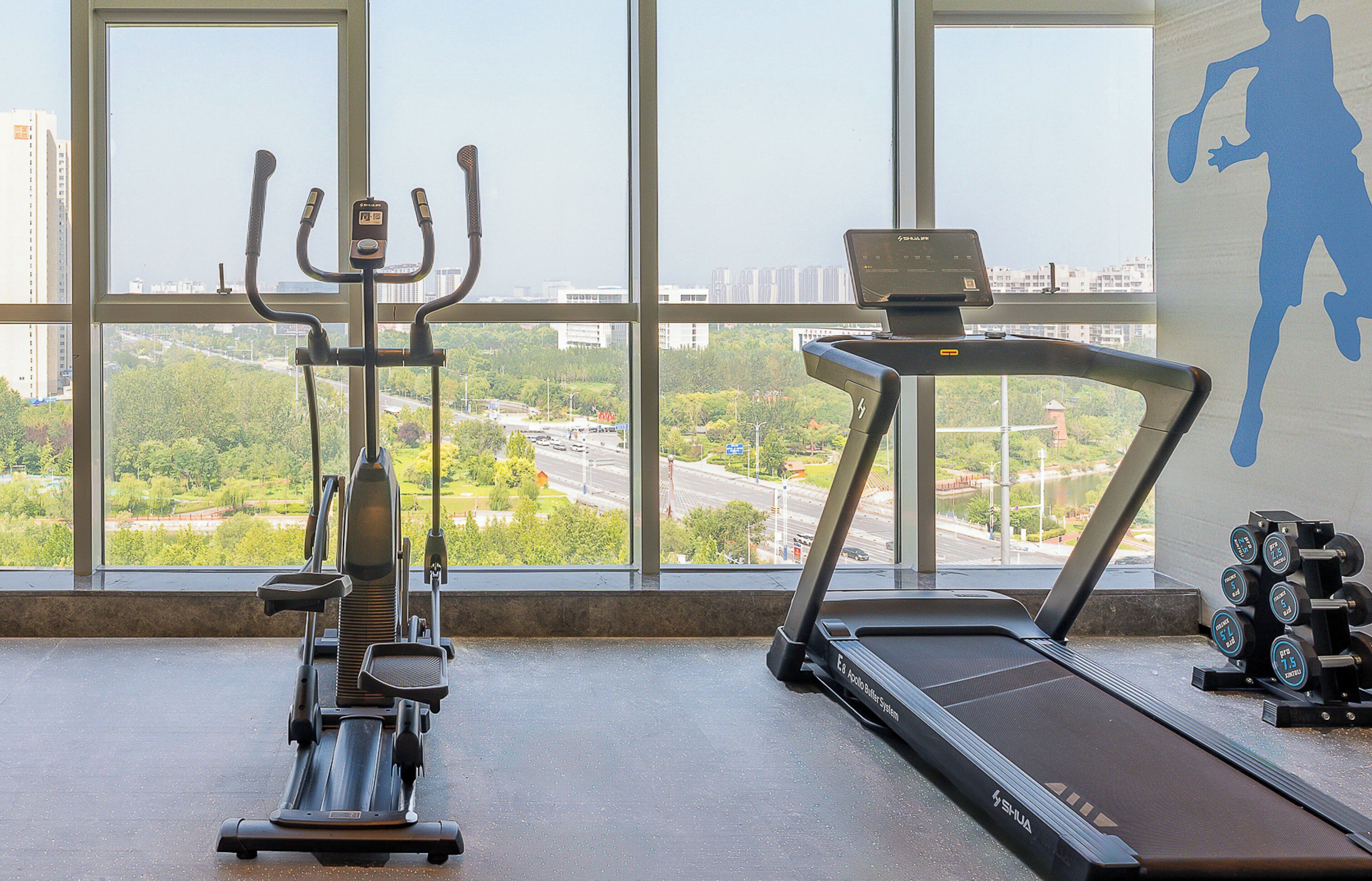 A gym with a treadmill, elliptical, and dumbbells, with a city view through large windows.
