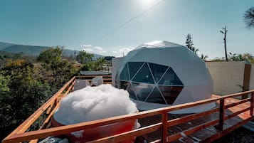 Cabin | Property grounds