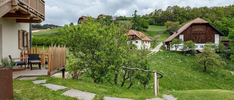 Terassi/patio