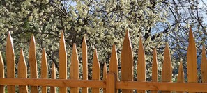 Property grounds - Holiday Apartment 'Aschnerhof Auf'm Egg' with Mountain View, Private Terrace and Wi-Fi (Renon)