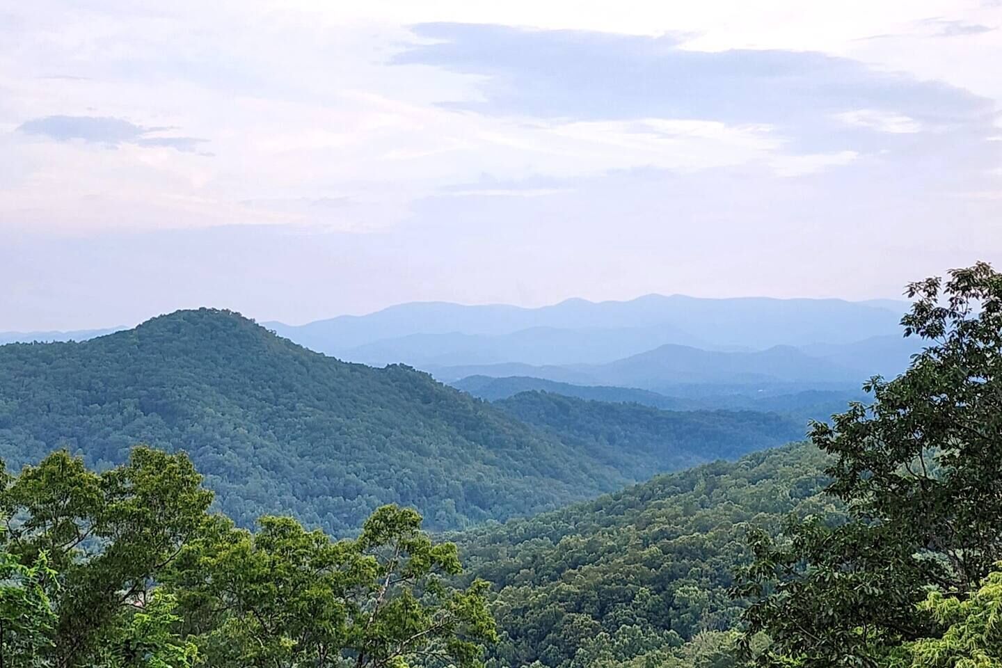 A mountainous landscape with dense forest coverage.