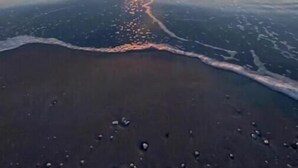 Una playa con un atardecer sobre el océano.