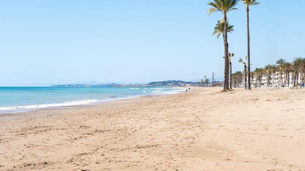 A beach with sand, palm trees, and a clear sky. - Apartment with Private Terrace, Whirlpool, Wi-Fi and Air Conditioning (El vendrell)