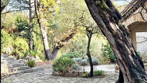 Ein gepflasterter Weg, der durch einen Garten mit Bäumen und Sträuchern führt.