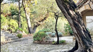 Áreas de la propiedad