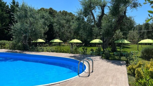 Piscina con cubierta de baldosas, rodeada de follaje y sombrillas.
