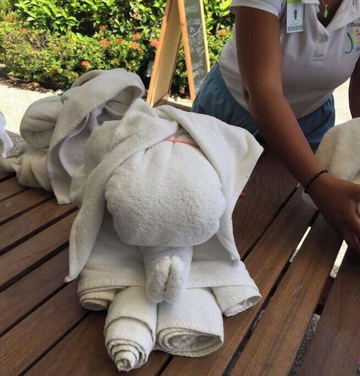 Bild für Gastgeberprofil