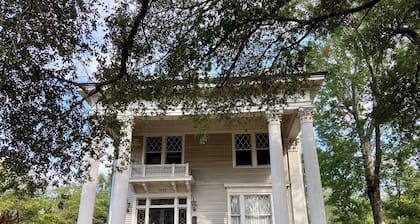 Loft in Historic Mims-Dreyfus House in Belhaven