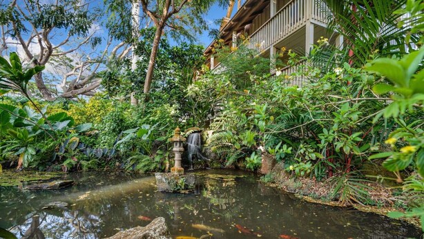 A koi pond with a waterfall, surrounded by lush greenery and a building with a balcony. - Tropical Treehouse Near the Beach (Koloa)
