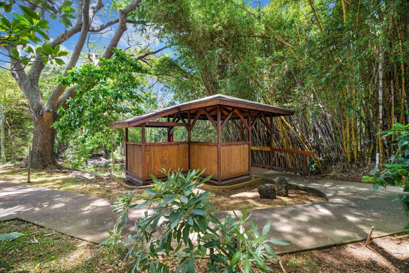 Un pavillon en bois doté d’un toit incliné, entouré d’une végétation dense composée de bambous et d’arbres.