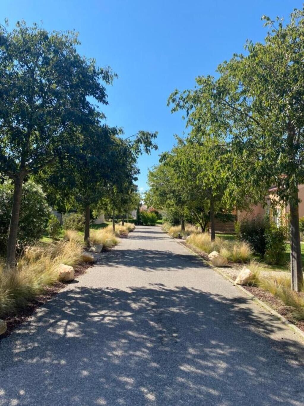 A paved pathway flanked by trees and shrubs, leading to a building.