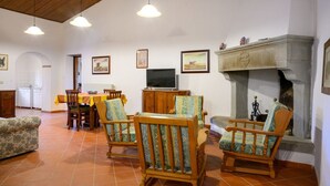 Un soggiorno con camino, sedie di legno, una televisione e un'area pranzo con tavolo e sedie.