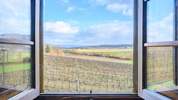 Une pièce dotée d’une grande fenêtre donnant sur un vignoble et des collines lointaines.