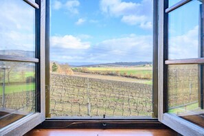 A room with a large window offering a view of a vineyard and distant hills.
