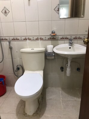 Haartrockner, Hausschuhe