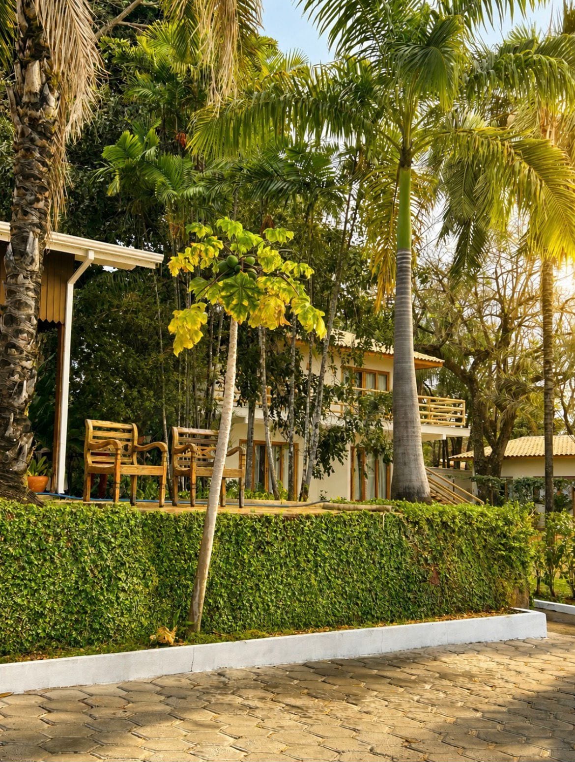 Terraza o patio
