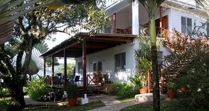 Stay, relax and explore in Sunrise, our tropical oasis by the Caribbean Sea.