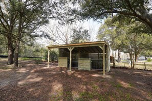 Property grounds - 2 Miles from WEC with 2 Paddocks + King Bed! (Ocala)
