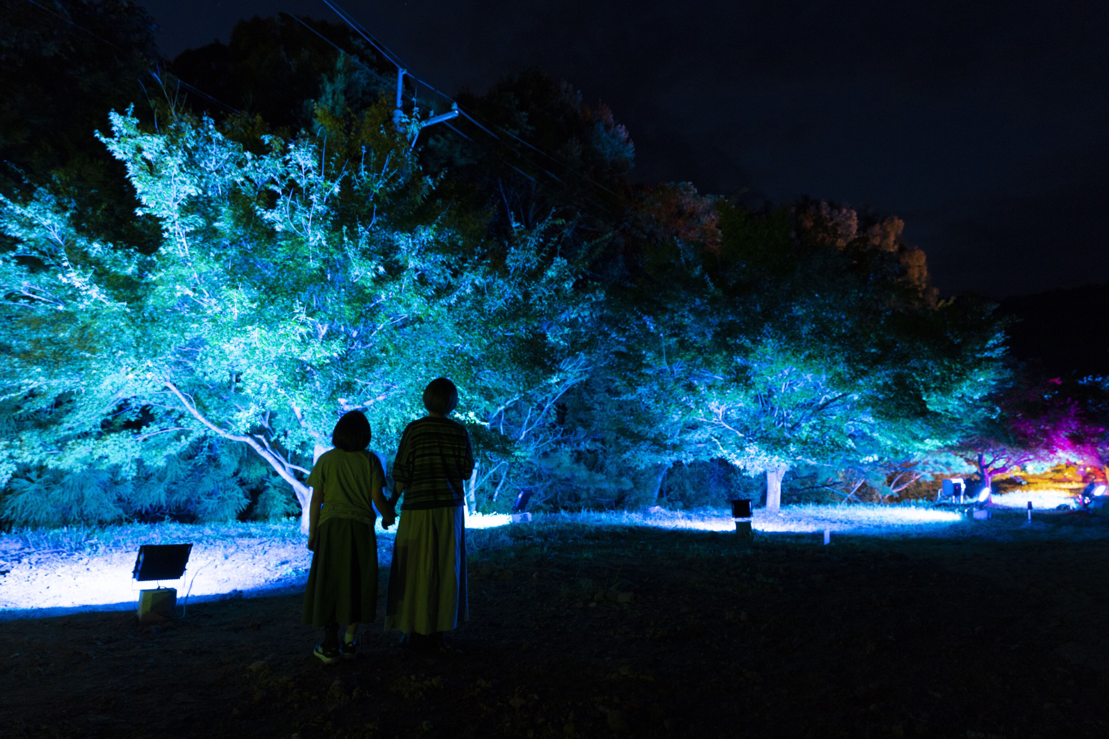 Two people standing under illuminated trees in a park at night.