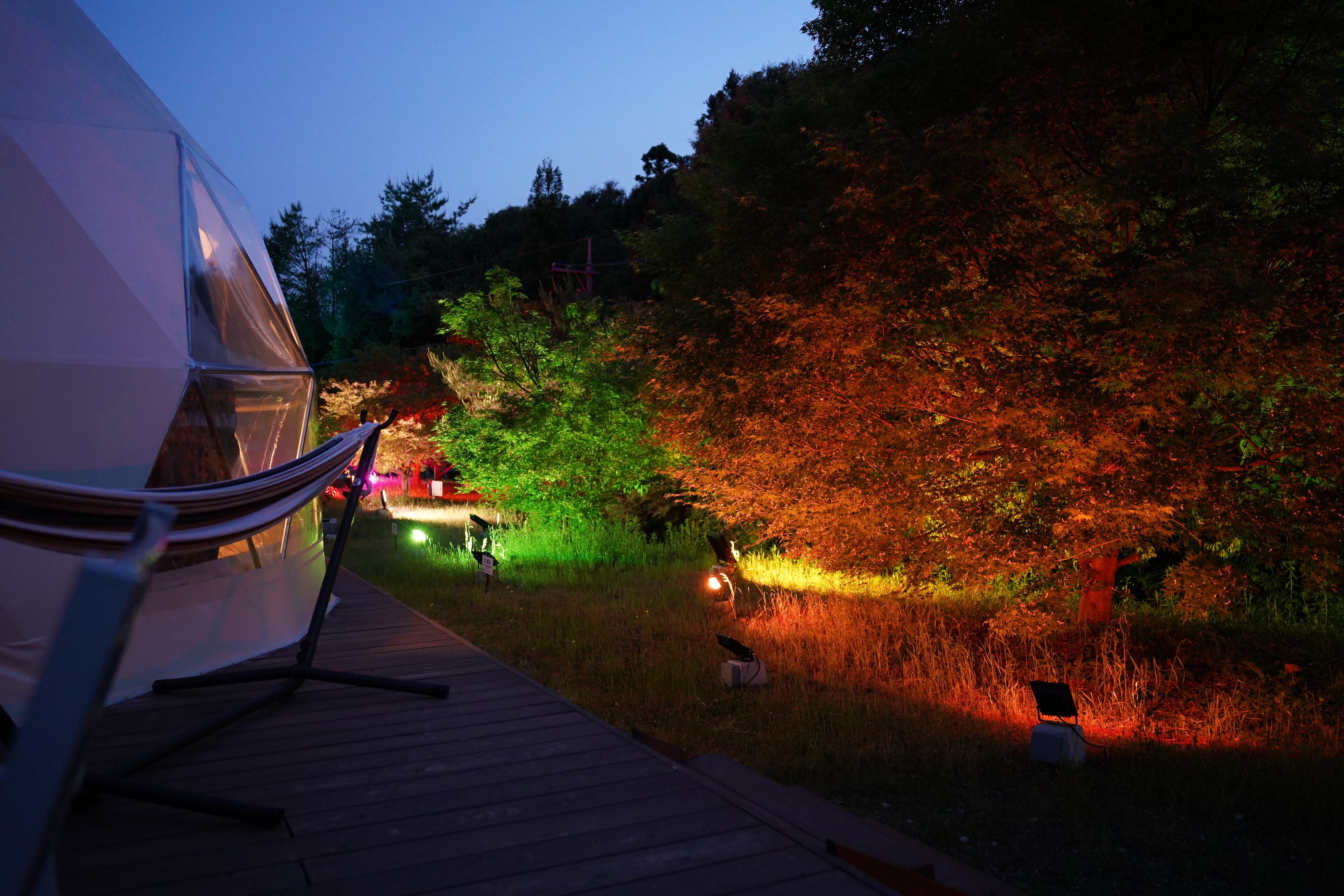 Zona esterna moderna e ben illuminata con un pontile in legno, un'amaca e un grande albero illuminato da luci colorate.
