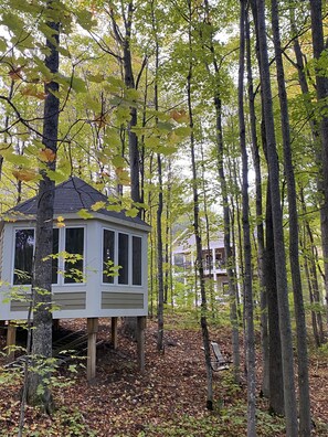 Exterior - Tree Top Cottage on 15 wooded acres (Mancelona)