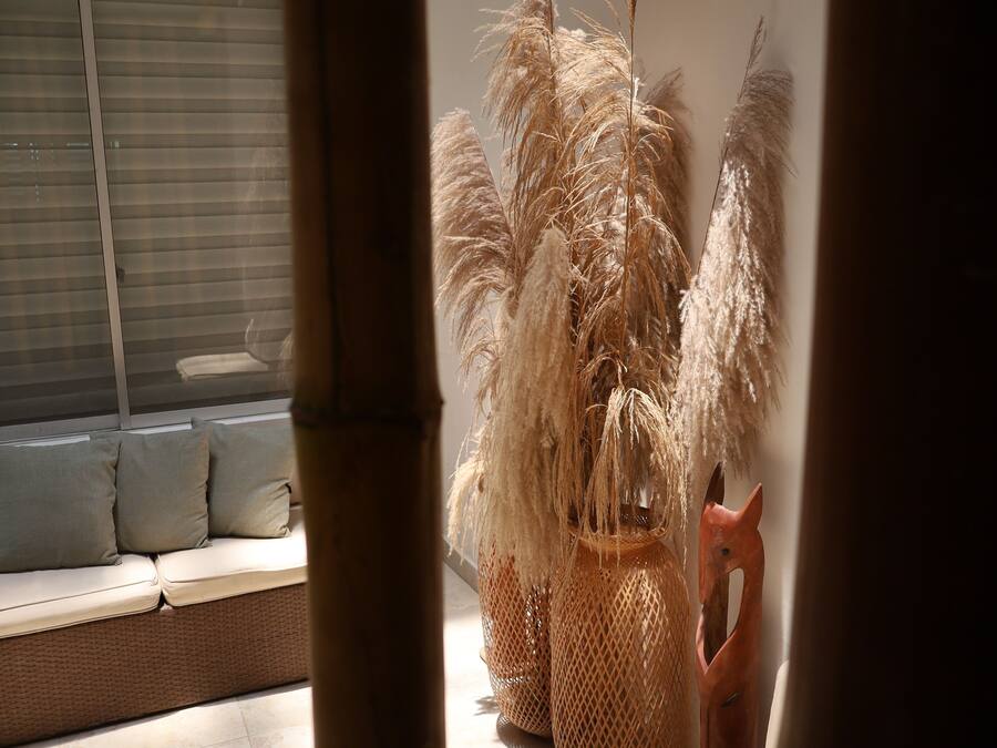 Een kamer met een bank, een raam met zonwering, een decoratieve plant en een stoel.