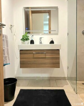 Shower, towels, toilet paper