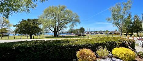 Un parc avec un grand arbre, une pelouse bien entretenue et une haie.