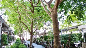 Un espace extérieur aménagé en terrasse, doté de plusieurs coins salon, et entouré d’une végétation luxuriante et d’arbres.