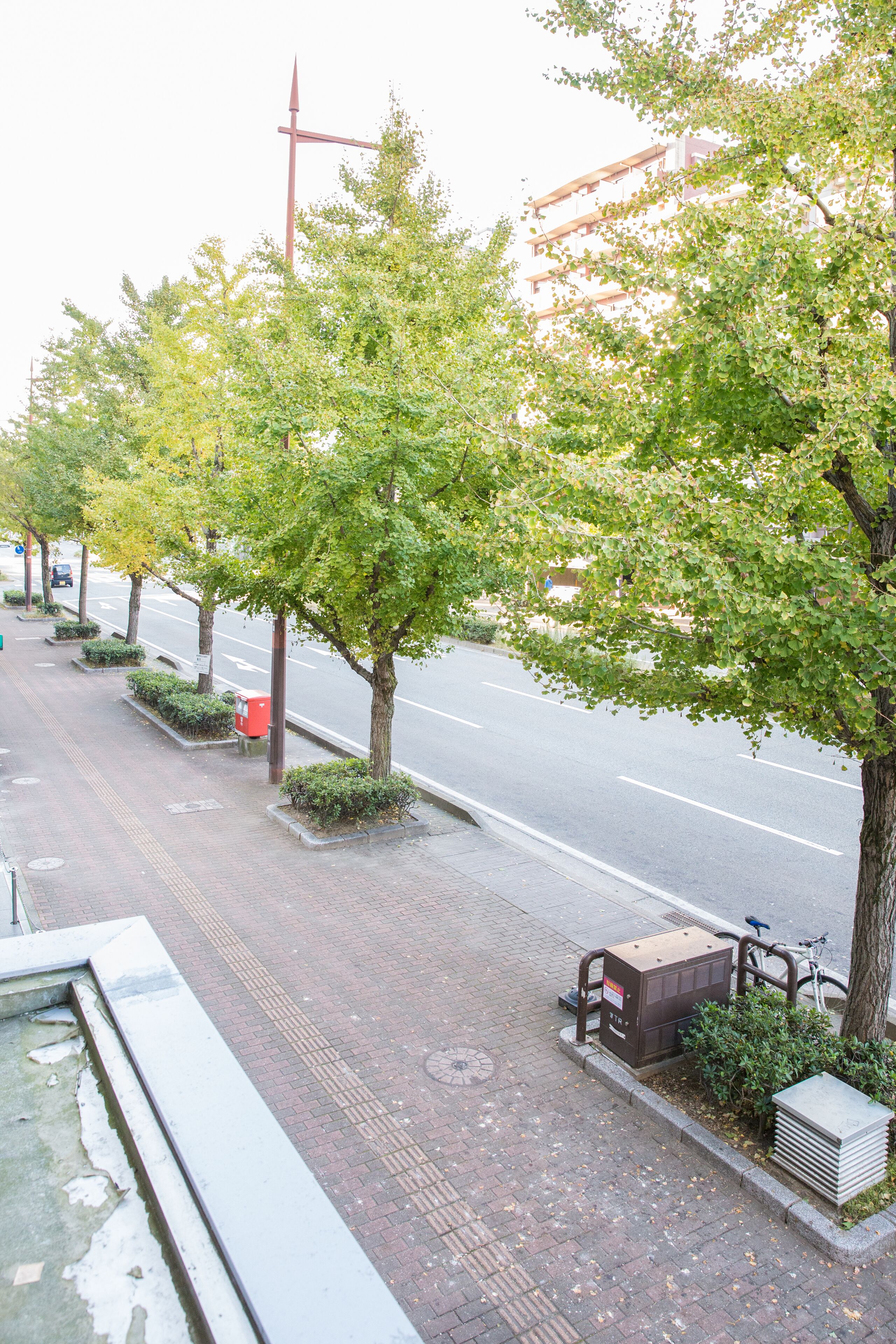 A tree-lined sidewalk with a street, a utility box, and a bicycle parked by the sidewalk.