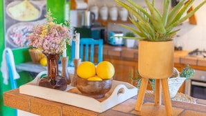 Un comptoir de cuisine sur lequel se trouve un plateau en bois, avec un vase de fleurs, un bol de citrons et une plante d’aloès.