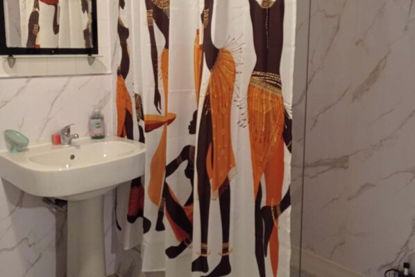 Shower, hair dryer, towels