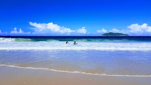 A beach with clear blue water, a sandy shore, and a distant island. - Peaceful Dwelling: Hawks Nest Beach House - Your Ideal Family Retreat Just Steps from Jimmy's Beach! (Winda Woppa)