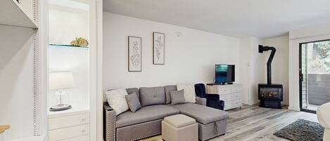 Een televisie, een open haard, een dvd-speler en boeken