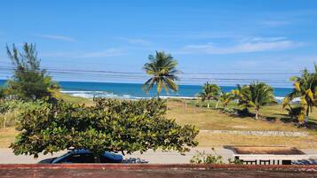 A coastal view with a road, palm trees, and a clear sky.