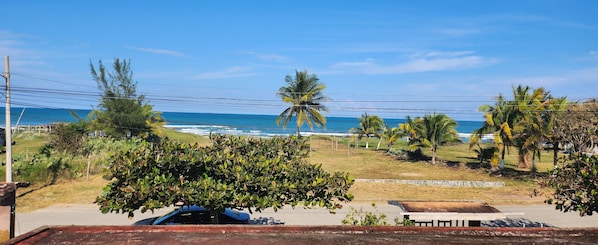 Vista costera con carretera, palmeras y cielo despejado.