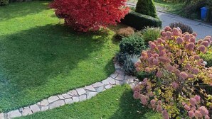 Un giardino con un vialetto in pietra, un cespuglio rosso e una casa sullo sfondo.