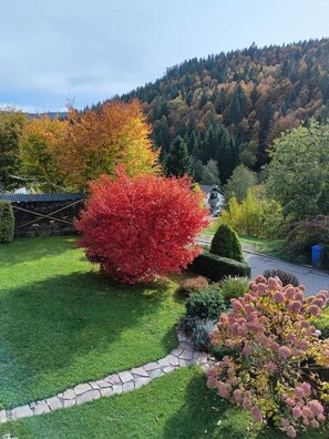 Property grounds - Holiday Apartment '3' with Mountain View, Private Terrace and Wi-Fi (Todtmoos)