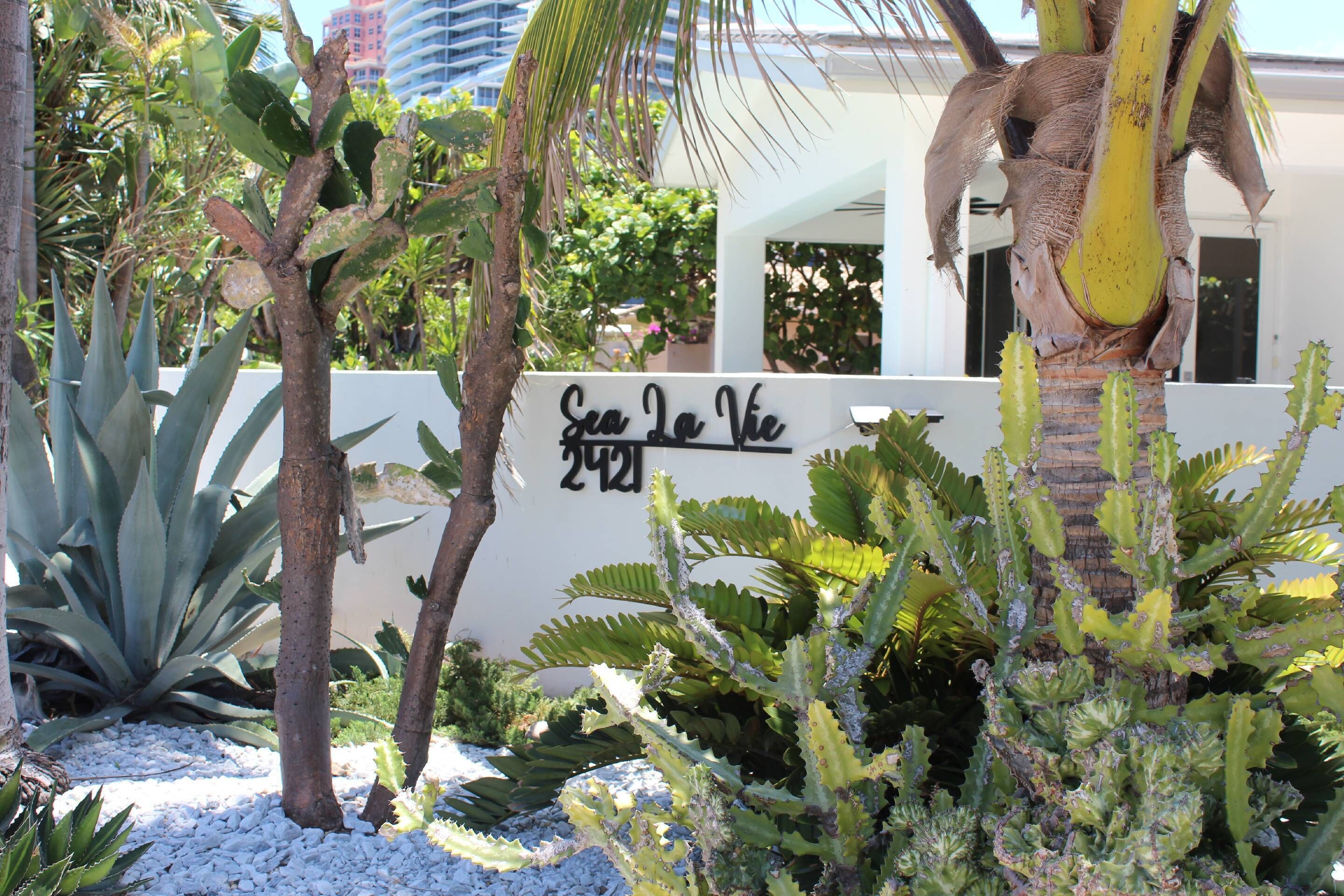 Un jardin avec différentes plantes, un palmier et une pancarte portant l’inscription « Sea La Vie 2421 ».